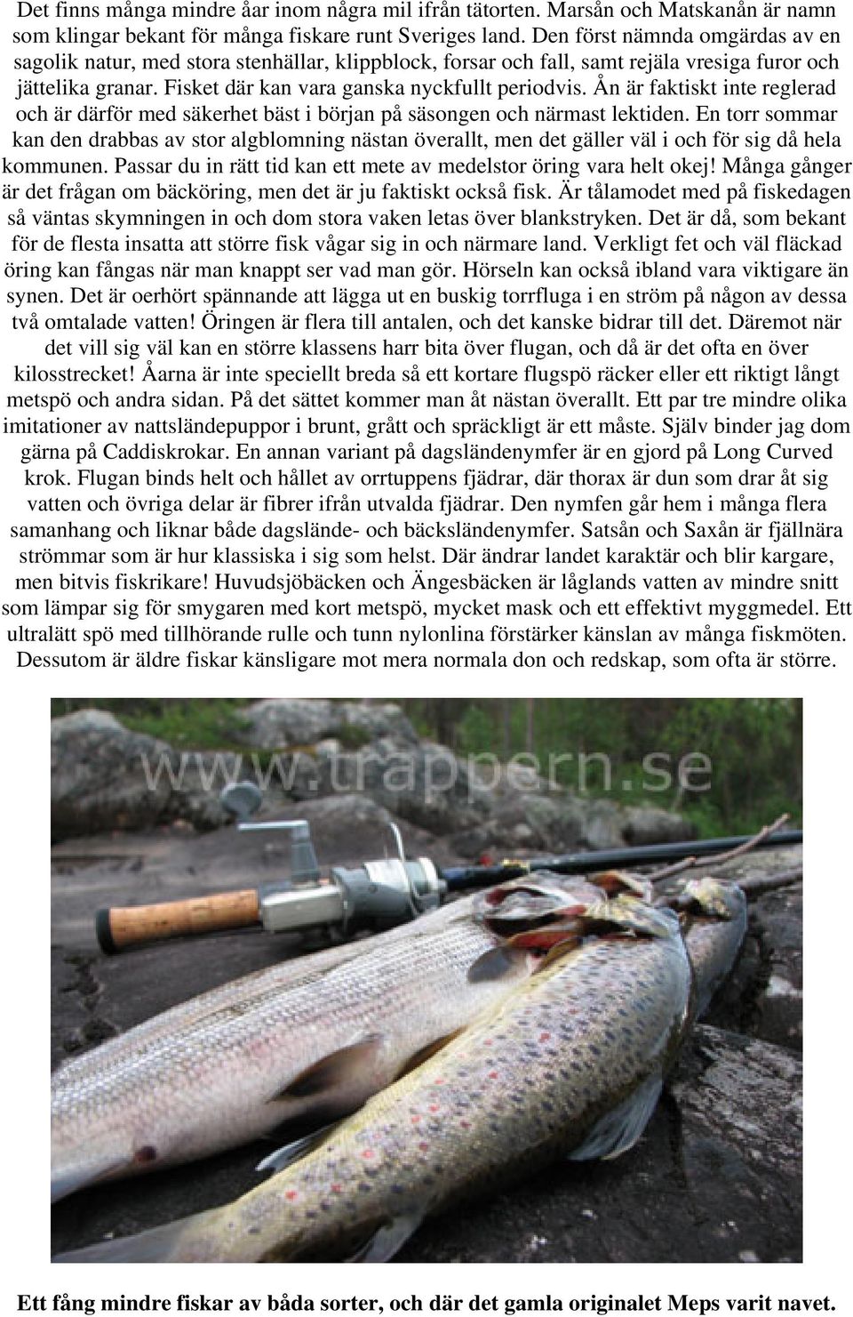 Ån är faktiskt inte reglerad och är därför med säkerhet bäst i början på säsongen och närmast lektiden.