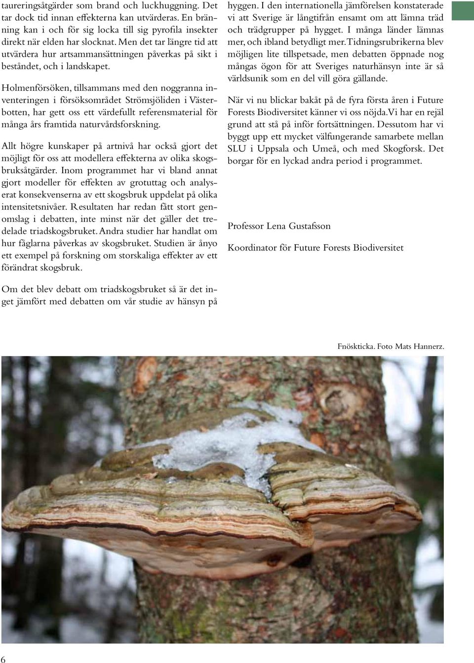 Holmenförsöken, tillsammans med den noggranna inventeringen i försöksområdet Strömsjöliden i Västerbotten, har gett oss ett värdefullt referensmaterial för många års framtida naturvårdsfors kning.