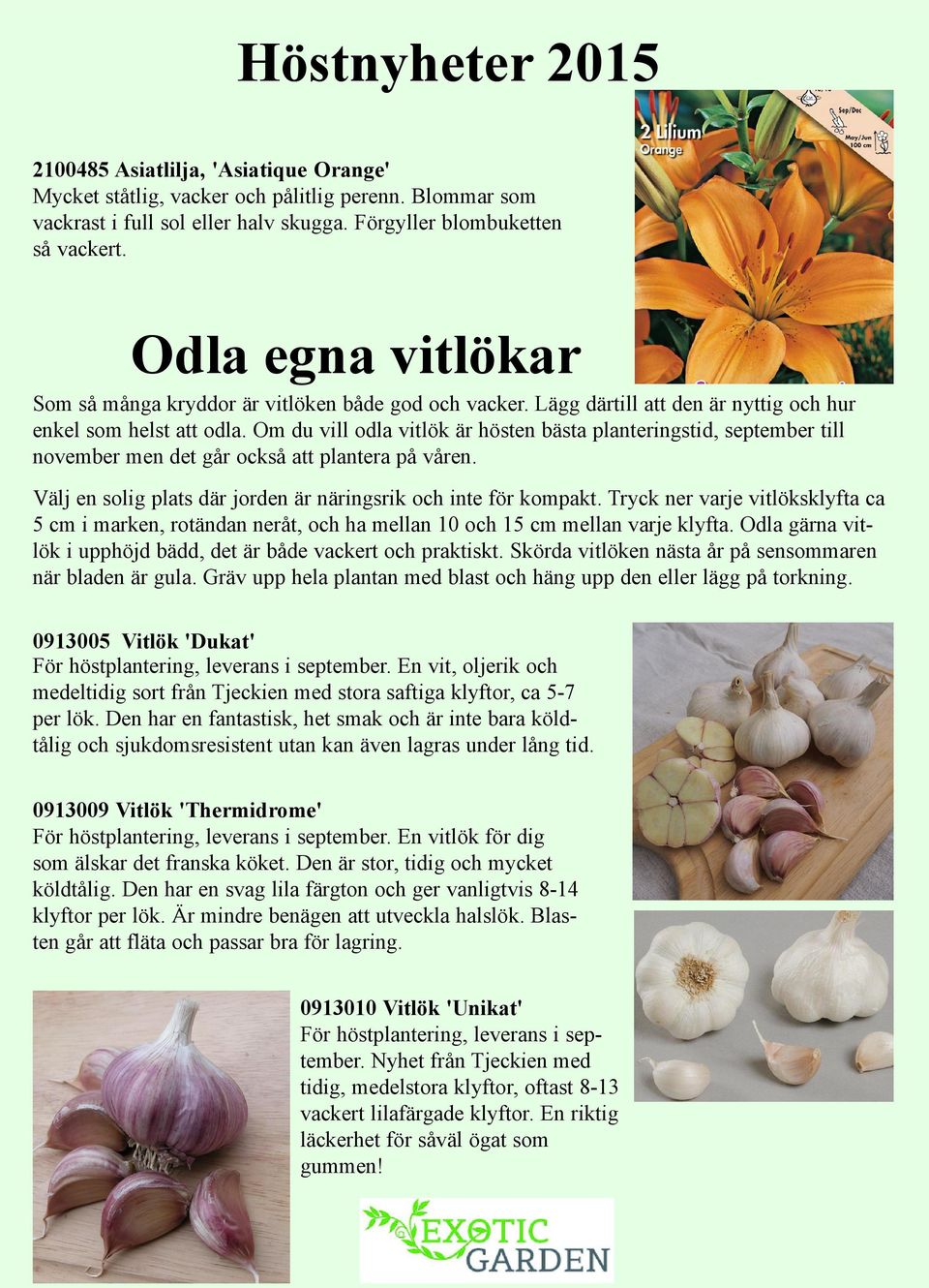 Om du vill odla vitlök är hösten bästa planteringstid, september till november men det går också att plantera på våren. Välj en solig plats där jorden är näringsrik och inte för kompakt.