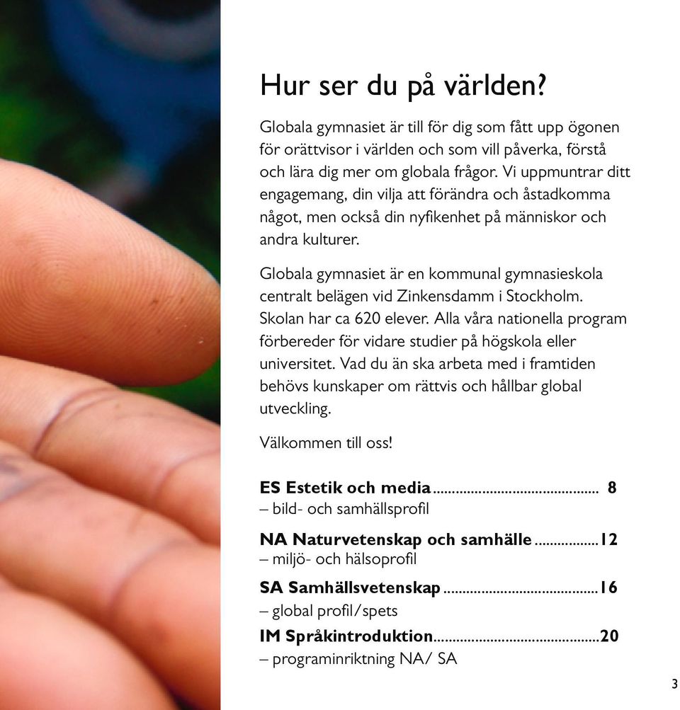 Globala gymnasiet är en kommunal gymnasieskola centralt belägen vid Zinkensdamm i Stockholm. Skolan har ca 620 elever.