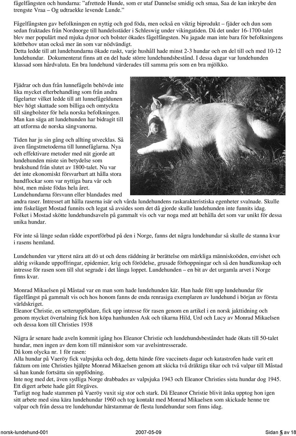 Då det under 16-1700-talet blev mer populärt med mjuka dynor och bolster ökades fågelfångsten. Nu jagade man inte bara för befolkningens köttbehov utan också mer än som var nödvändigt.