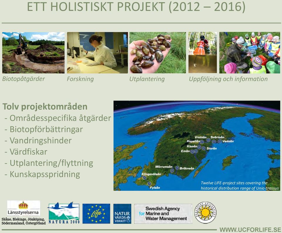 Biotopförbättringar - Vandringshinder - Värdfiskar - Utplantering/flyttning -