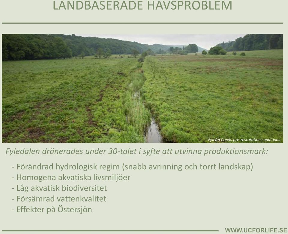 hydrologisk regim (snabb avrinning och torrt landskap) - Homogena akvatiska
