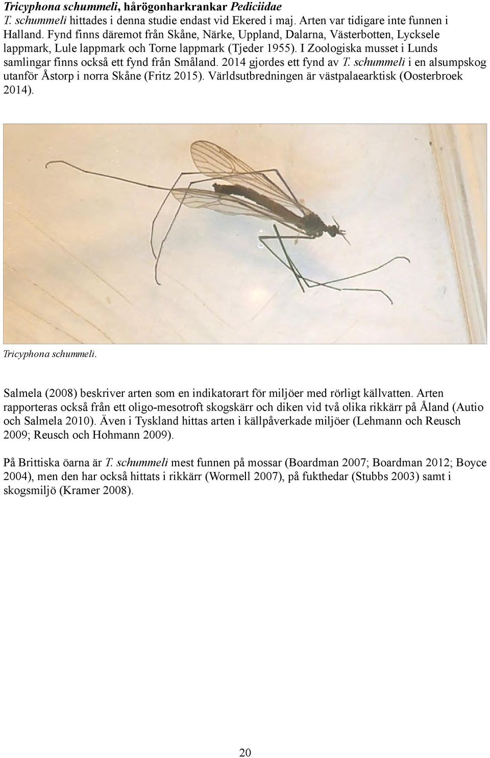 I Zoologiska musset i Lunds samlingar finns också ett fynd från Småland. 2014 gjordes ett fynd av T. schummeli i en alsumpskog utanför Åstorp i norra Skåne (Fritz 2015).