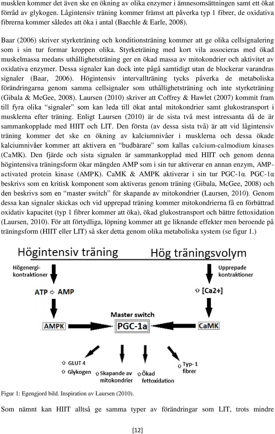 Baar (2006) skriver styrketräning och konditionsträning kommer att ge olika cellsignalering som i sin tur formar kroppen olika.