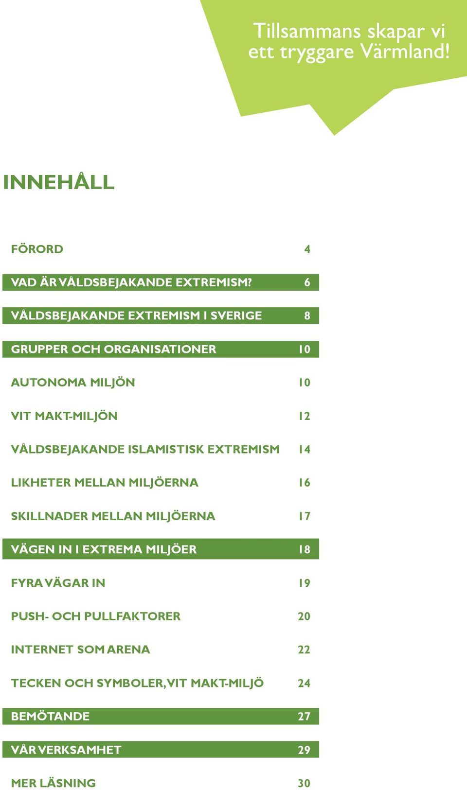 VÅLDSBEJAKANDE ISLAMISTISK EXTREMISM 14 LIKHETER MELLAN MILJÖERNA 16 SKILLNADER MELLAN MILJÖERNA 17 VÄGEN IN I