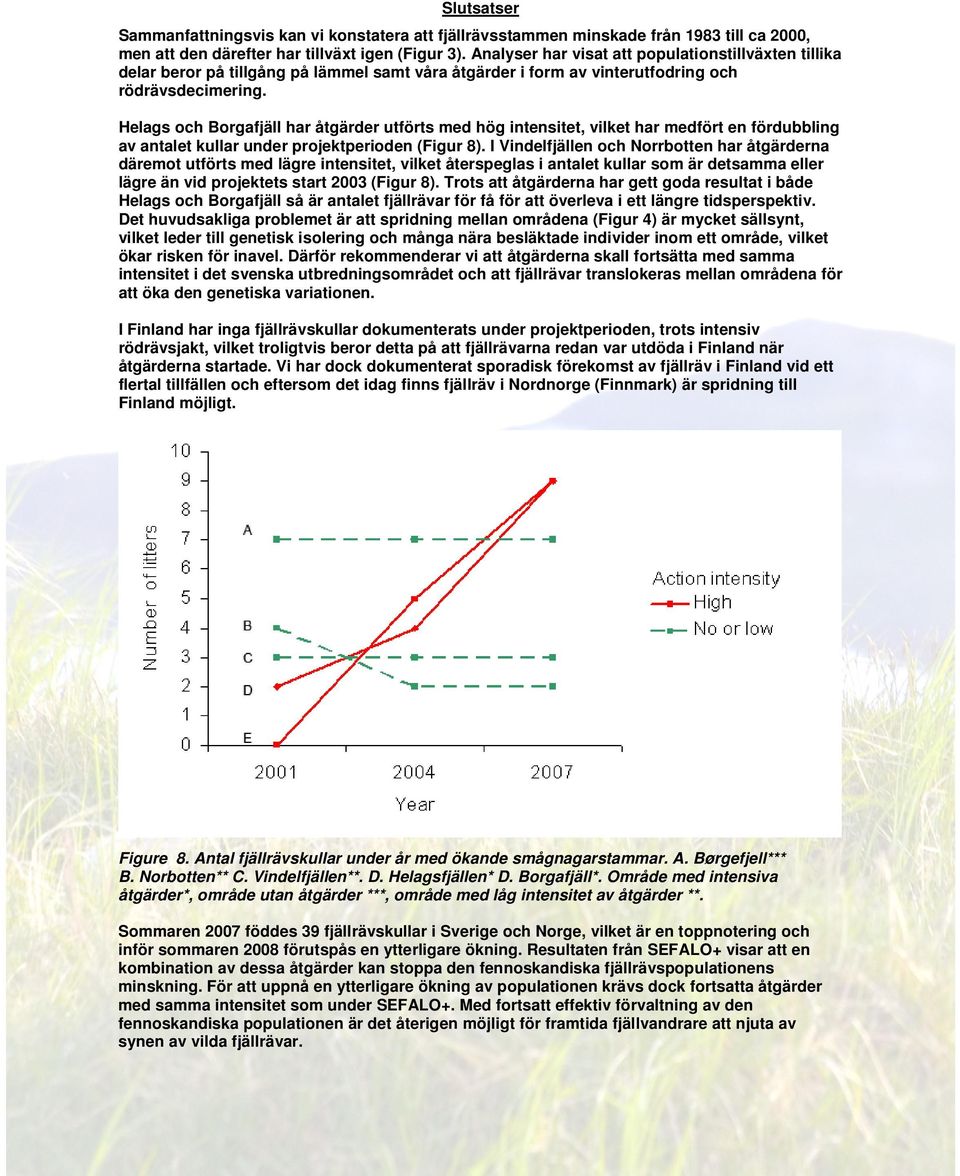 Helags och Borgafjäll har åtgärder utförts med hög intensitet, vilket har medfört en fördubbling av antalet kullar under projektperioden (Figur 8).