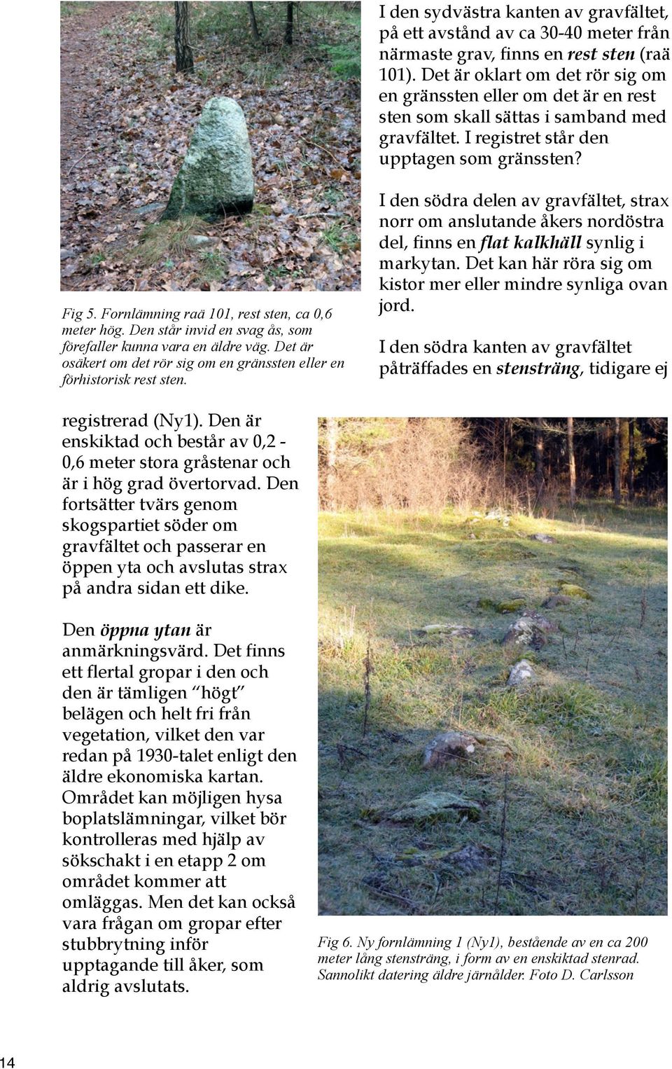 Fornlämning raä 101, rest sten, ca 0,6 meter hög. Den står invid en svag ås, som förefaller kunna vara en äldre väg. Det är osäkert om det rör sig om en gränssten eller en förhistorisk rest sten.