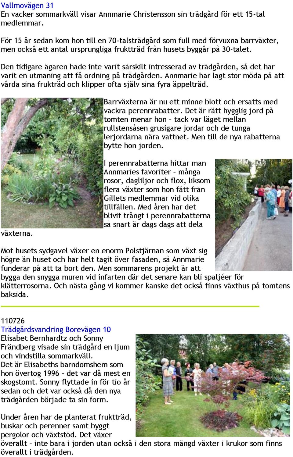 Den tidigare ägaren hade inte varit särskilt intresserad av trädgården, så det har varit en utmaning att få ordning på trädgården.