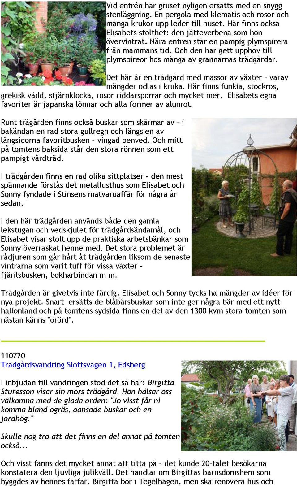 Och den har gett upphov till plymspireor hos många av grannarnas trädgårdar. Det här är en trädgård med massor av växter varav mängder odlas i kruka.
