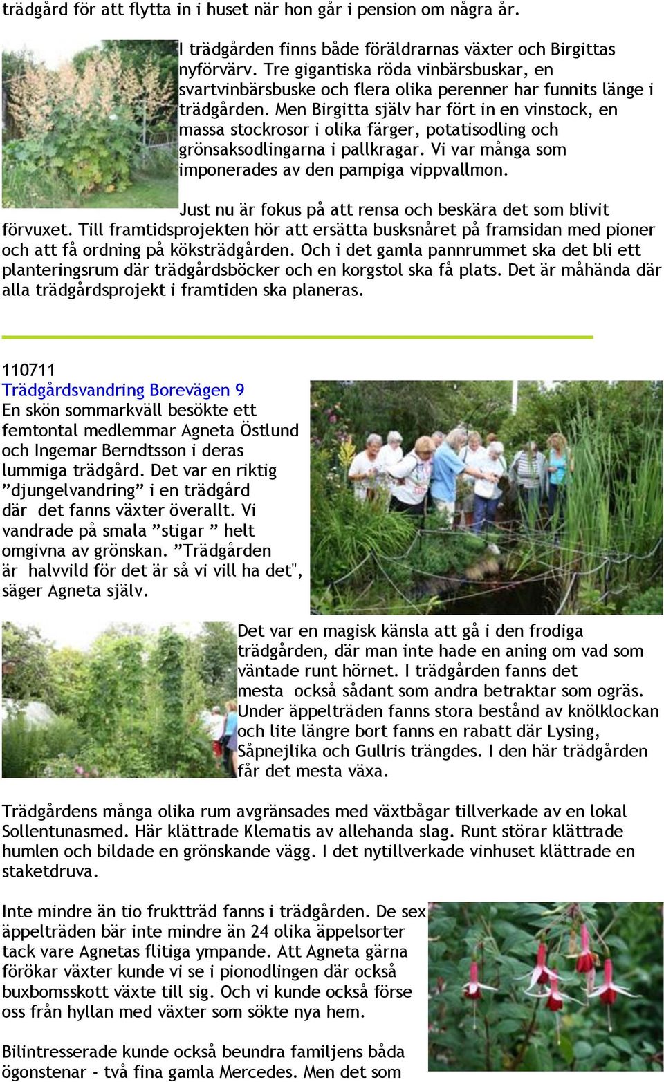 Men Birgitta själv har fört in en vinstock, en massa stockrosor i olika färger, potatisodling och grönsaksodlingarna i pallkragar. Vi var många som imponerades av den pampiga vippvallmon.