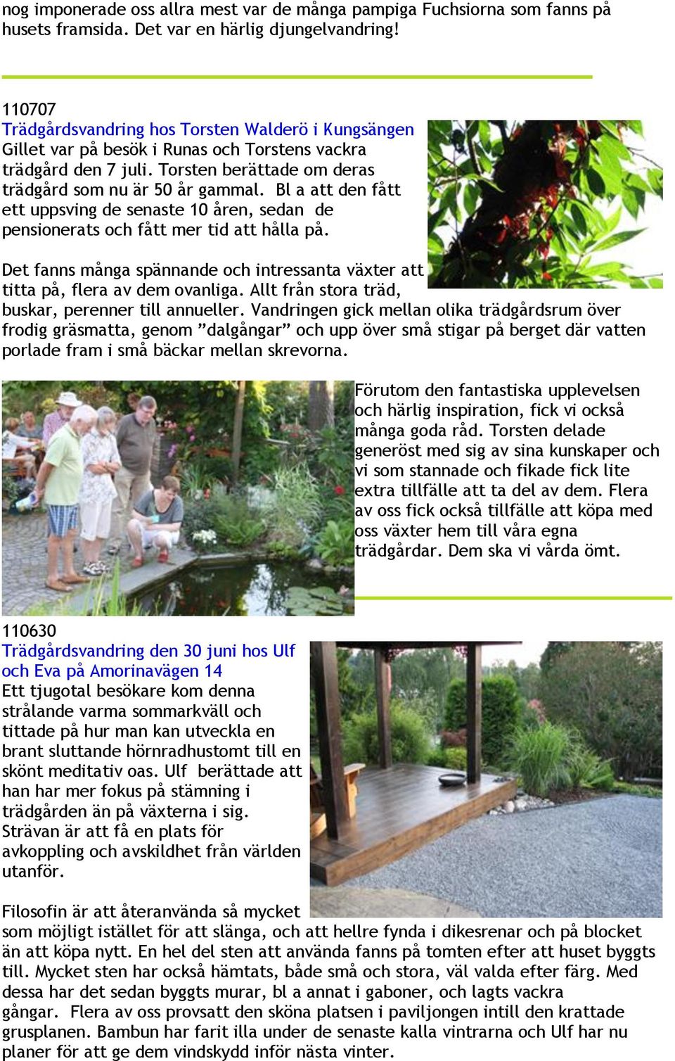 Bl a att den fått ett uppsving de senaste 10 åren, sedan de pensionerats och fått mer tid att hålla på. Det fanns många spännande och intressanta växter att titta på, flera av dem ovanliga.