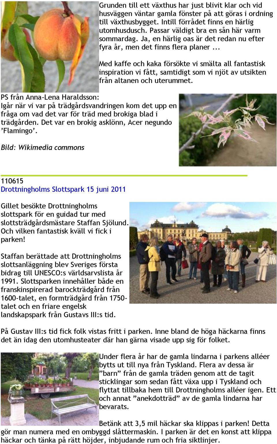 Passar väldigt bra en sån här varm sommardag. Ja, en härlig oas är det redan nu efter fyra år, men det finns flera planer.