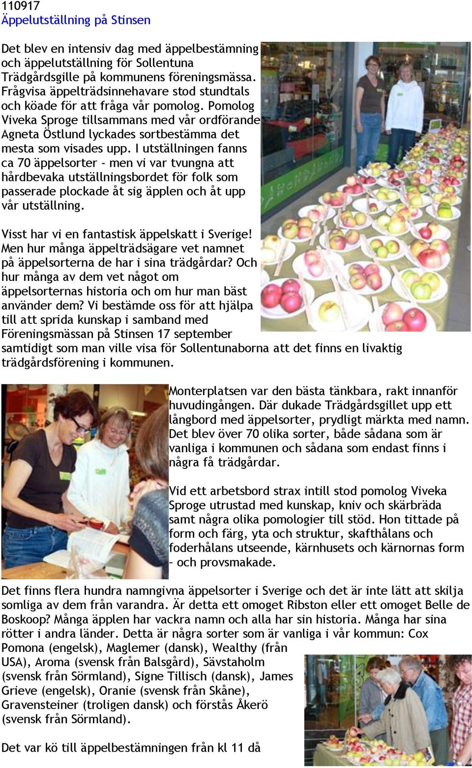 I utställningen fanns ca 70 äppelsorter - men vi var tvungna att hårdbevaka utställningsbordet för folk som passerade plockade åt sig äpplen och åt upp vår utställning.