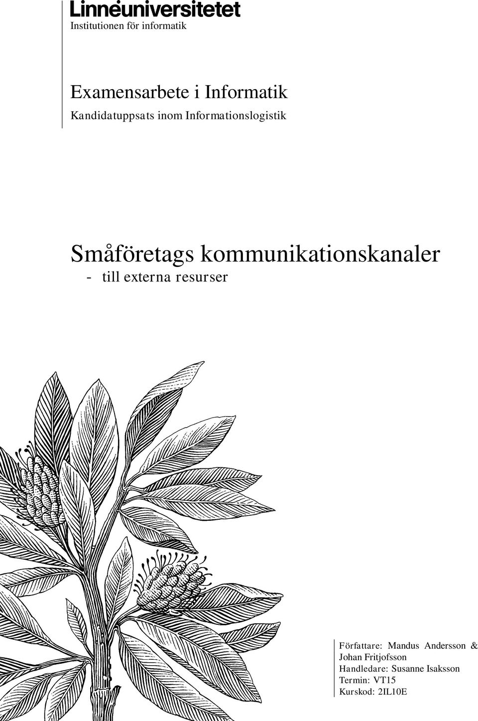 kommunikationskanaler - till externa resurser Författare: Mandus