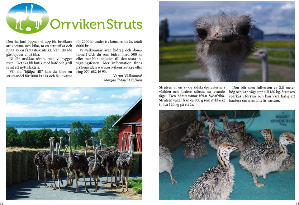 Vi välkomnar även bidrag och donationer! Och du som bidrar med 500 kr eller mer blir inbjuden till den stora invigningsfesten. Mer information finns på hemsidan www.orrvikenstruts.