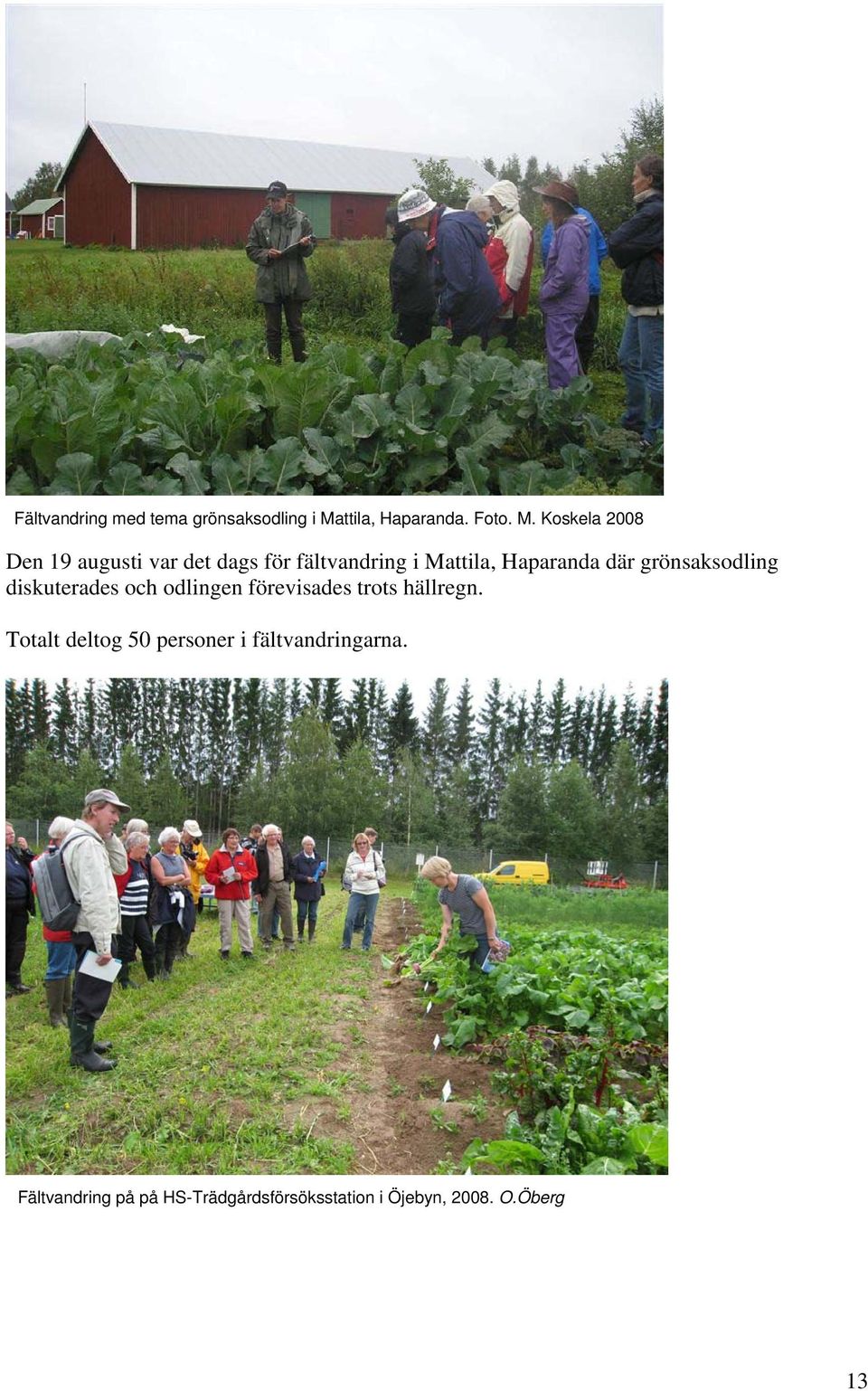 Koskela 2008 Den 19 augusti var det dags för fältvandring i Mattila, Haparanda där