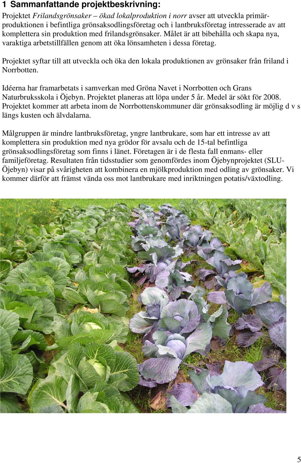 Projektet syftar till att utveckla och öka den lokala produktionen av grönsaker från friland i Norrbotten.