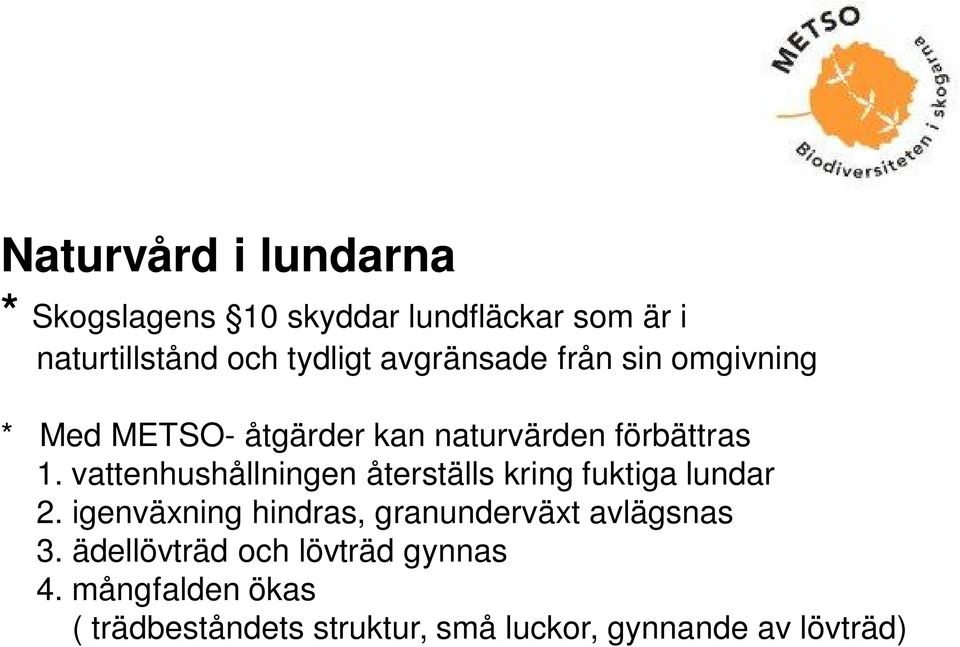 vattenhushållningen återställs kring fuktiga lundar 2.