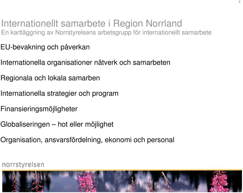 samarbeten Regionala och lokala samarben Internationella strategier och program