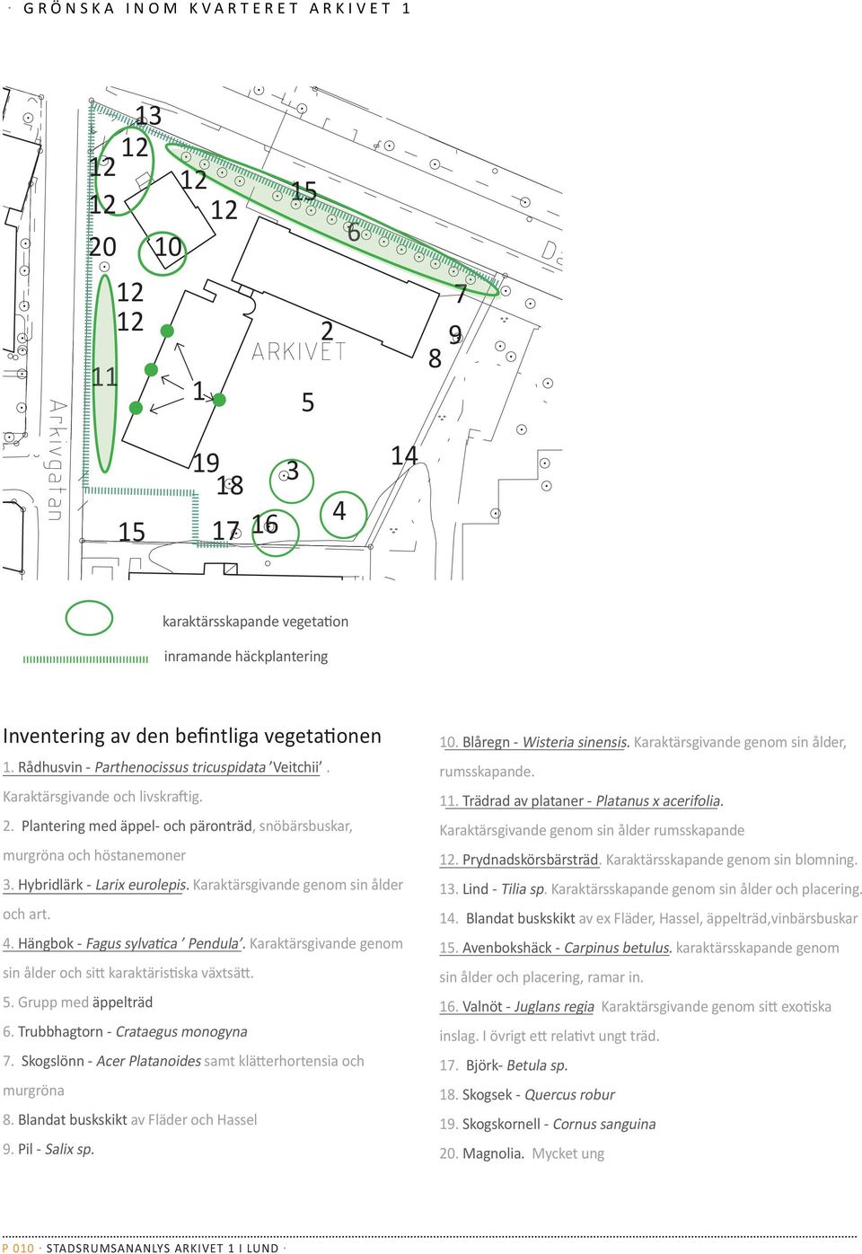 Hybridlärk - Larix eurolepis. Karaktärsgivande genom sin ålder och art. 4. Hängbok - Fagus sylvatica Pendula. Karaktärsgivande genom sin ålder och sitt karaktäristiska växtsätt. 5.