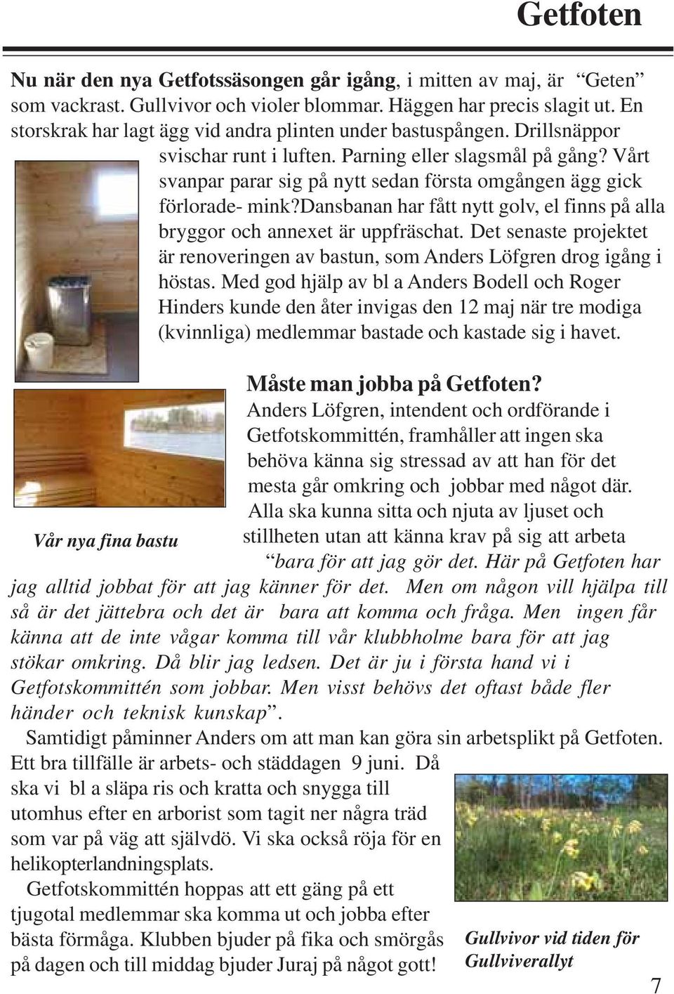 Vårt svanpar parar sig på nytt sedan första omgången ägg gick förlorade- mink?dansbanan har fått nytt golv, el finns på alla bryggor och annexet är uppfräschat.