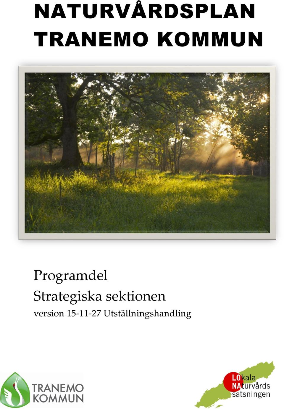 Strategiska sektionen