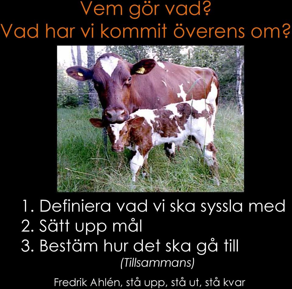 Definiera vad vi ska syssla med 2.