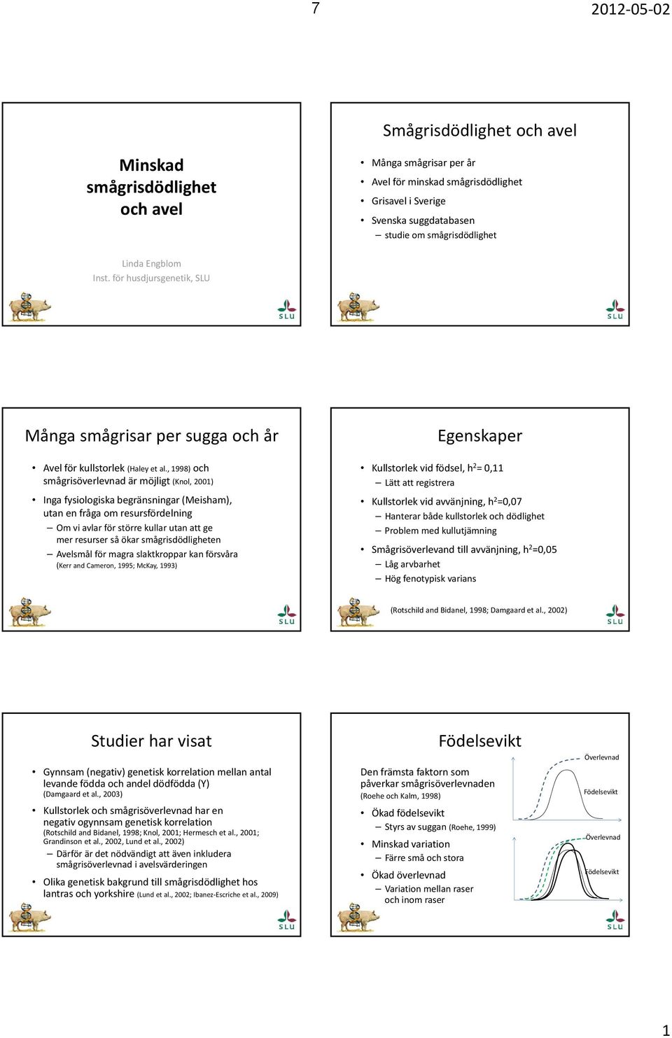 , 1998) och smågrisöverlevnad är möjligt (Knol, 1) Inga fysiologiska begränsningar (Meisham), utan en fråga om resursfördelning Om vi avlar för större kullar utan att ge mer resurser så ökar