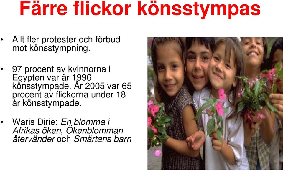 97 procent av kvinnorna i Egypten var år 1996 könsstympade.