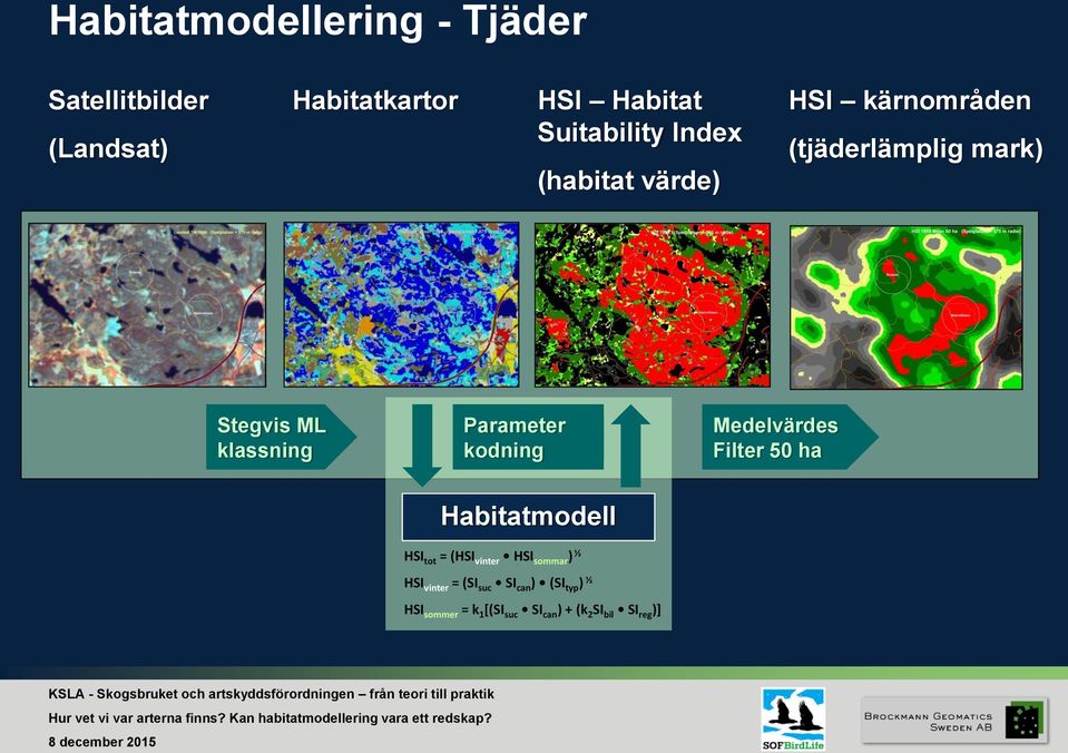 kodning Medelvärdes Filter 50 ha Habitatmodell HSI tot = (HSI vinter HSI sommar ) ½ HSI