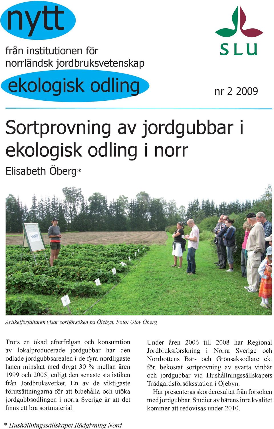 Foto: Olov Öberg Trots en ökad efterfrågan och konsumtion av lokalproducerade jordgubbar har den odlade jordgubbsarealen i de fyra nordligaste länen minskat med drygt 3 % mellan åren 1999 och 25,