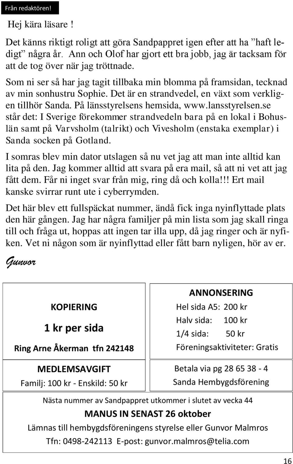 Det är en strandvedel, en växt som verkligen tillhör Sanda. På länsstyrelsens hemsida, www.lansstyrelsen.