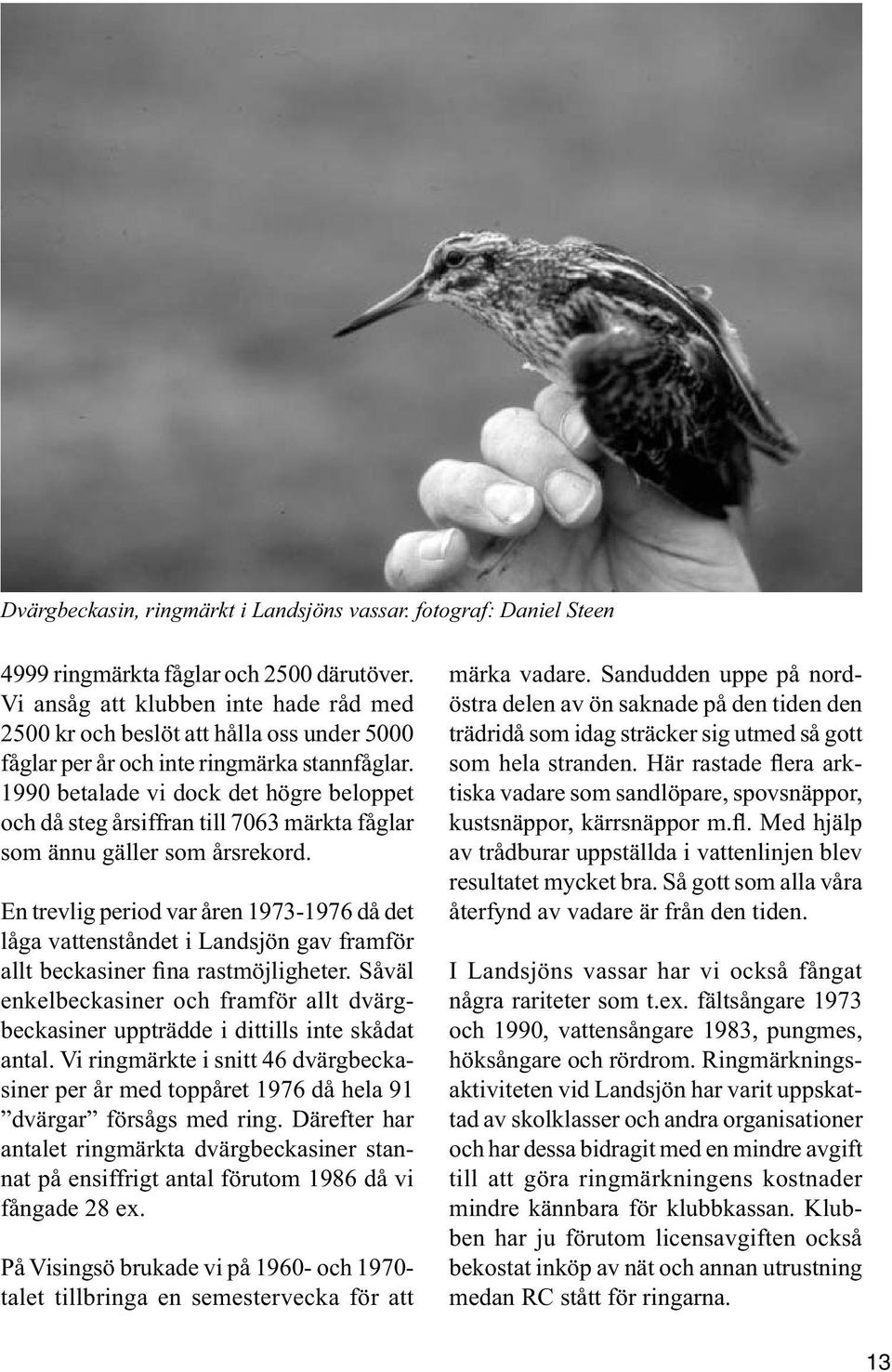1990 betalade vi dock det högre beloppet och då steg årsiffran till 7063 märkta fåglar som ännu gäller som årsrekord.