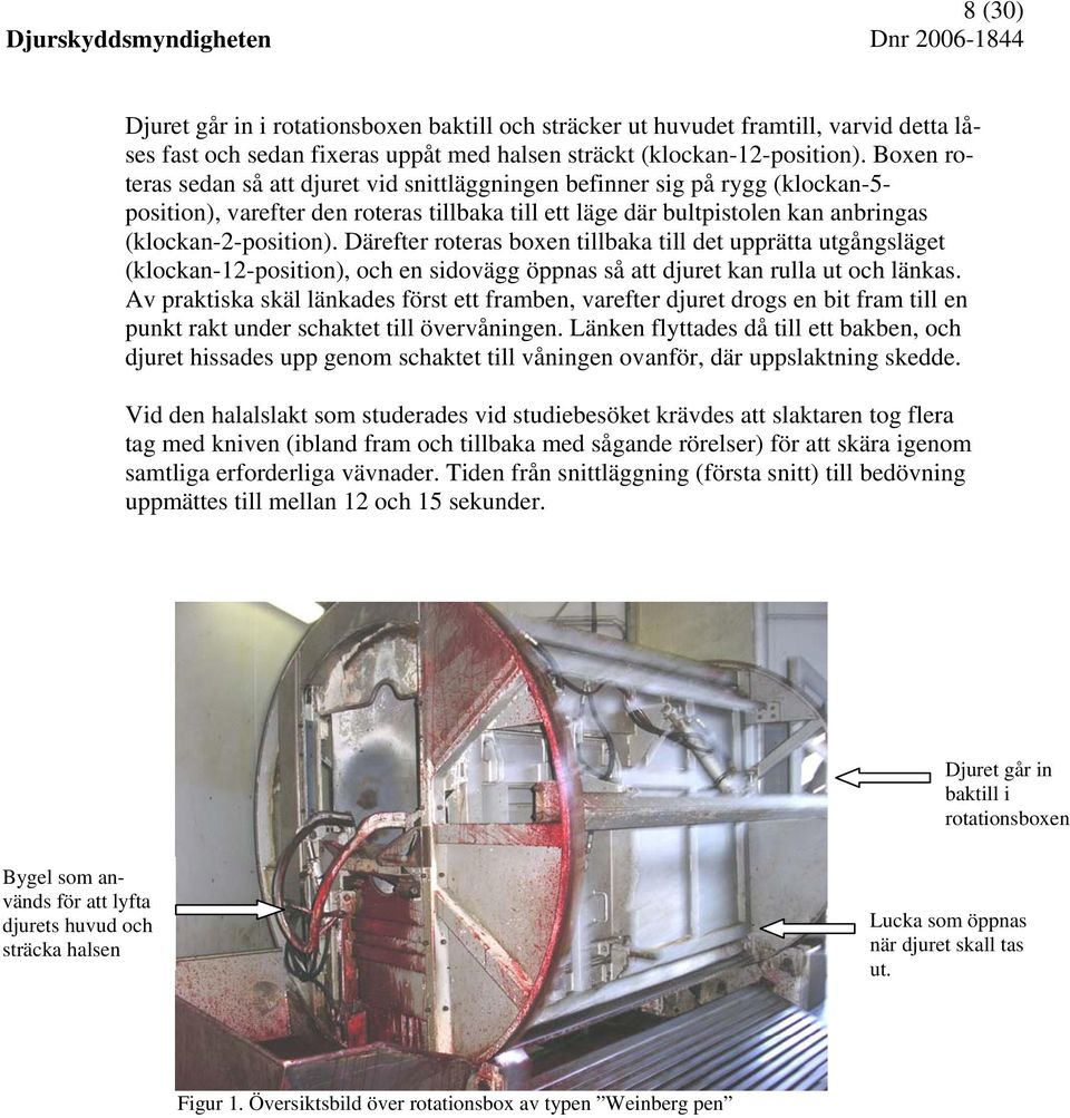 Därefter roteras boxen tillbaka till det upprätta utgångsläget (klockan-12-position), och en sidovägg öppnas så att djuret kan rulla ut och länkas.