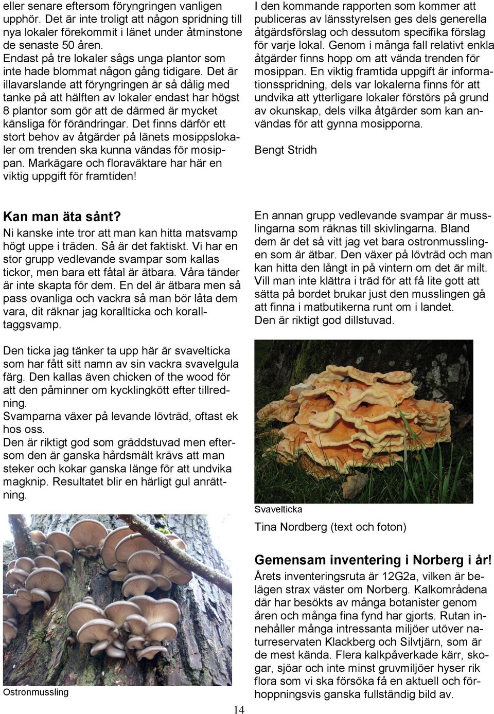 Det är illavarslande att föryngringen är så dålig med tanke på att hälften av lokaler endast har högst 8 plantor som gör att de därmed är mycket känsliga för förändringar.