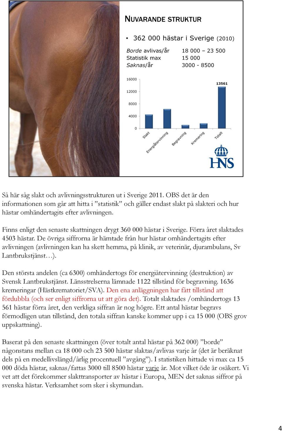 Finns enligt den senaste skattningen drygt 360 000 hästar i Sverige. Förra året slaktades 4503 hästar.