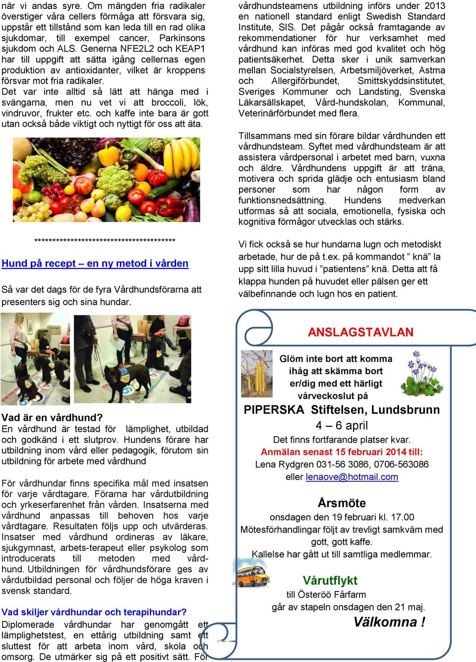 Generna NFE2L2 och KEAP1 har till uppgift att sätta igång cellernas egen produktion av antioxidanter, vilket är kroppens försvar mot fria radikaler.