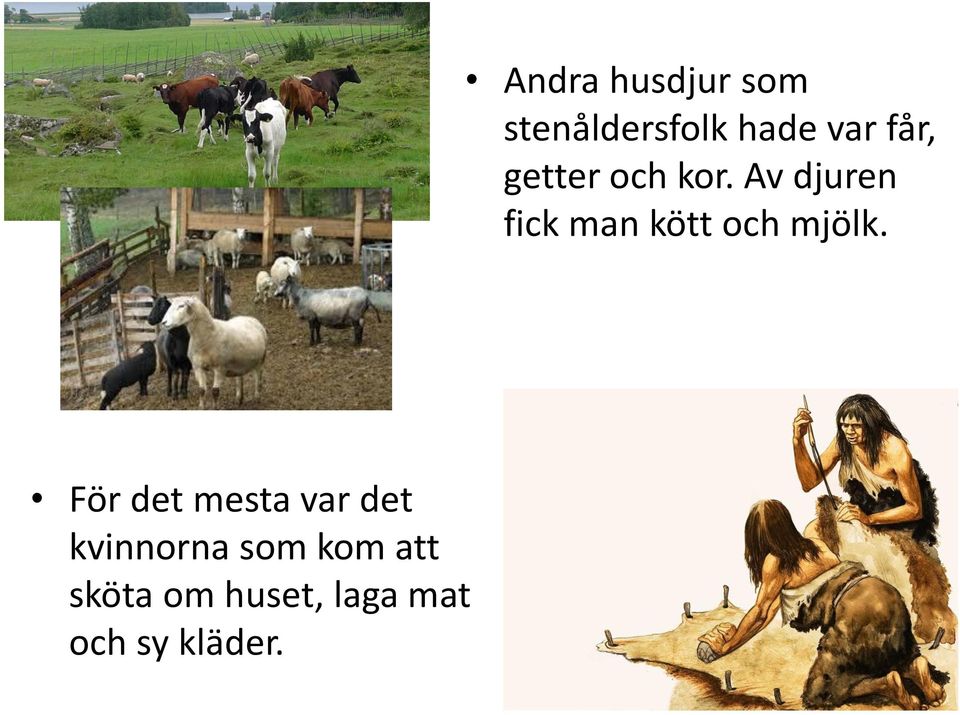 Andra husdjur som stenåldersfolk hade var