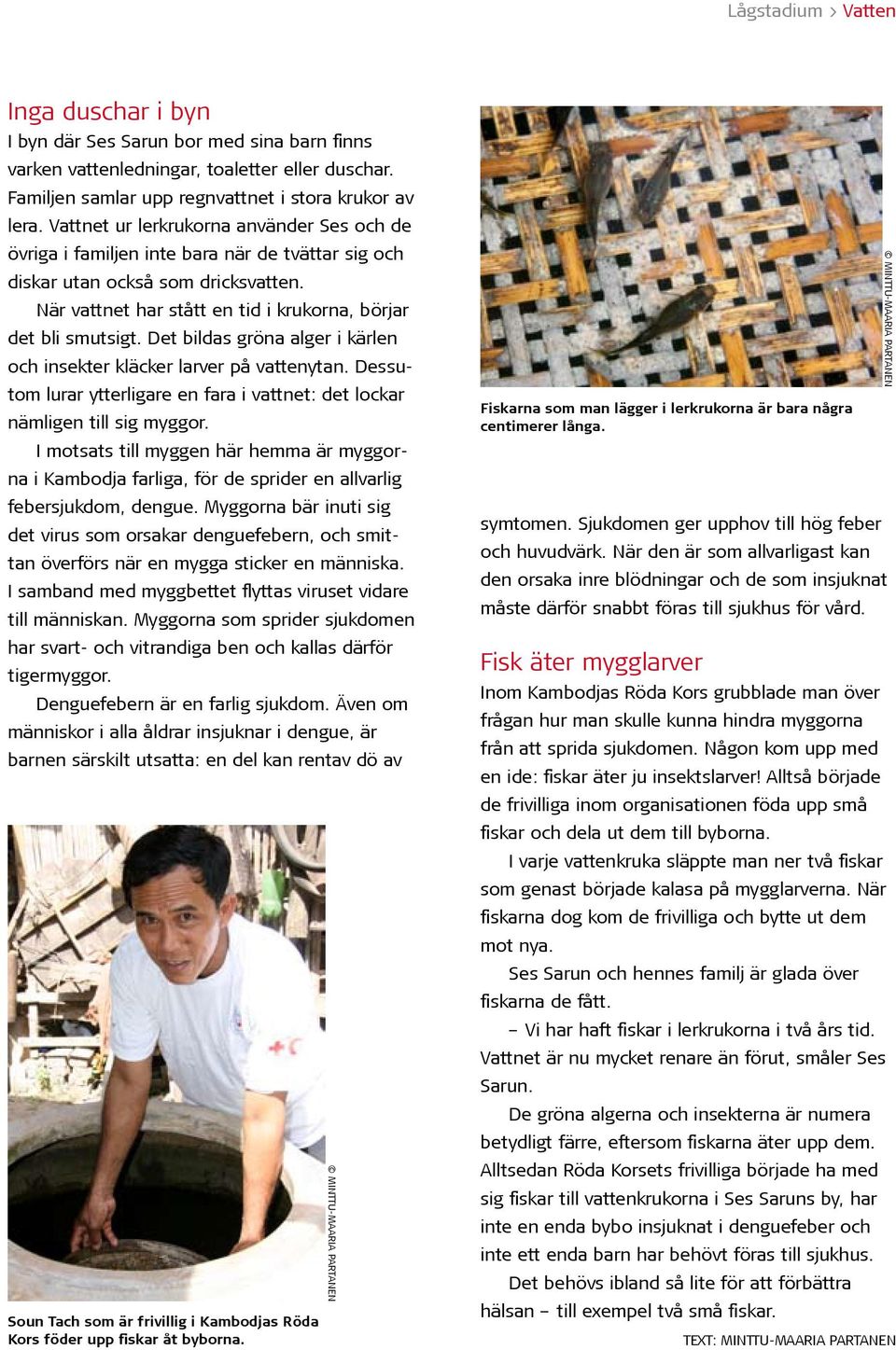 Det bildas gröna alger i kärlen och insekter kläcker larver på vattenytan. Dessutom lurar ytterligare en fara i vattnet: det lockar nämligen till sig myggor.