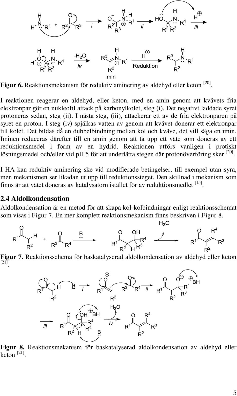 Det negativt laddade syret protoneras sedan, steg (ii). I nästa steg, (iii), attackerar ett av de fria elektronparen på syret en proton.