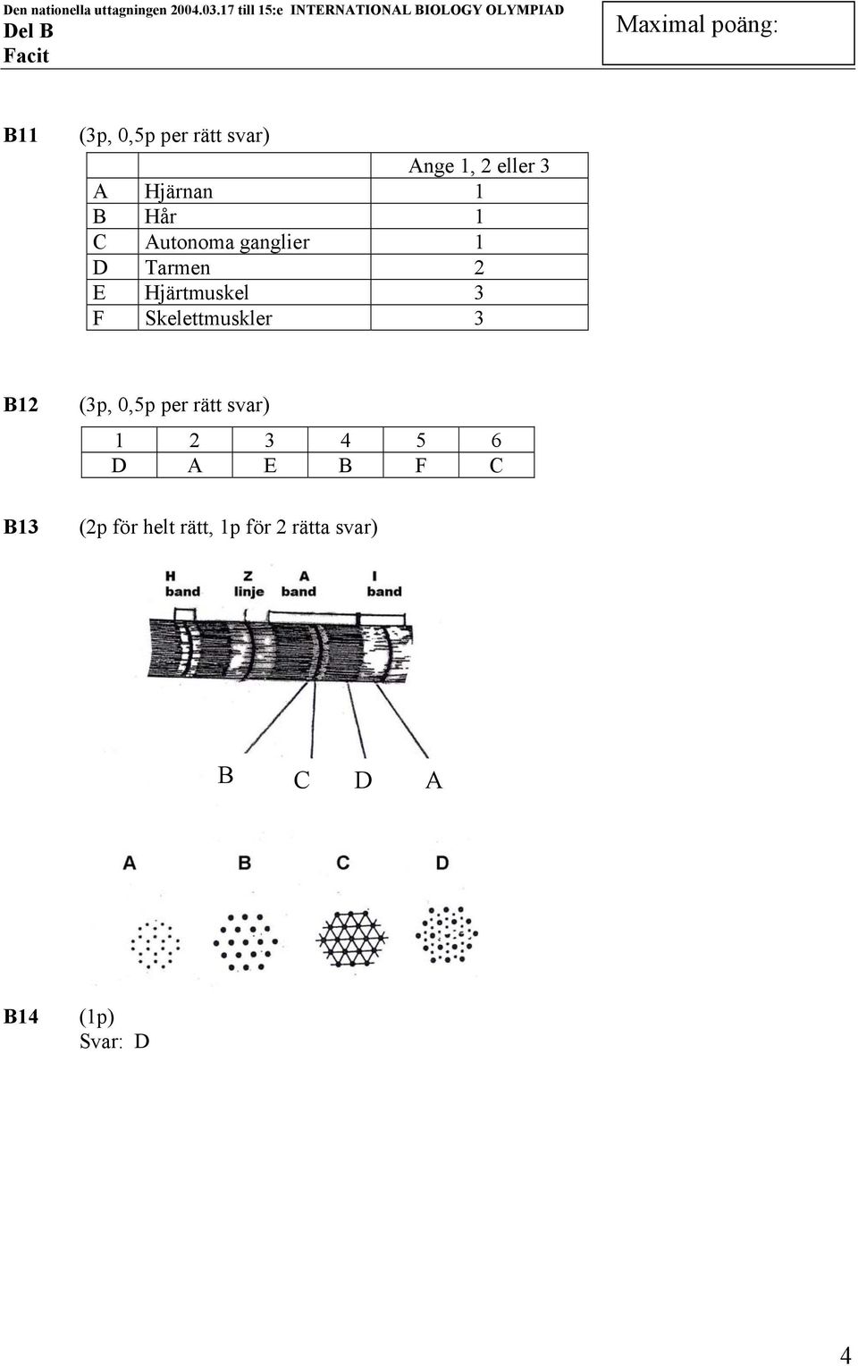 Skelettmuskler 3 B12 (3p, 0,5p per rätt svar) 1 2 3 4 5 6 D A E