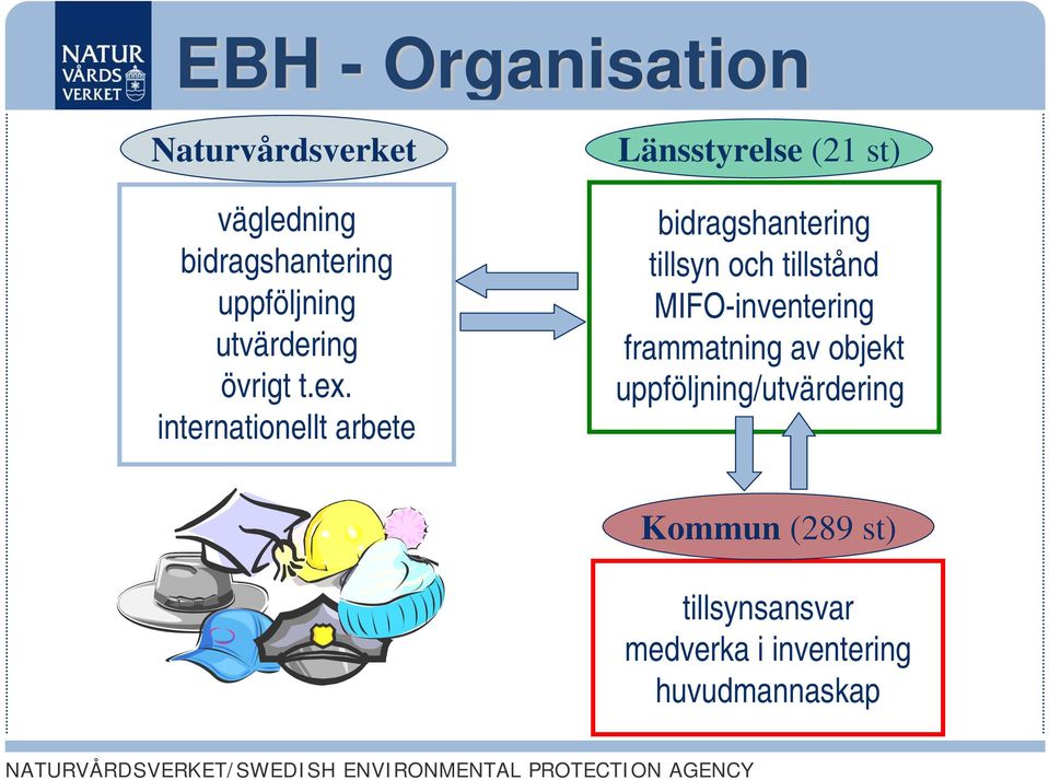 internationellt arbete Länsstyrelse (21 st) bidragshantering tillsyn och