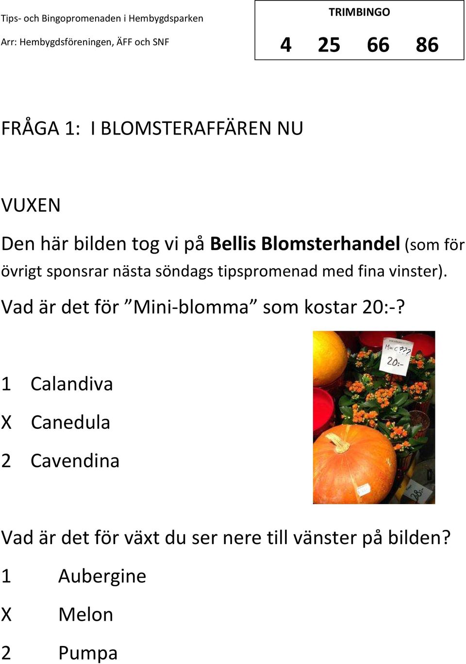 vinster). Vad är det för Mini-blomma som kostar 20:-?