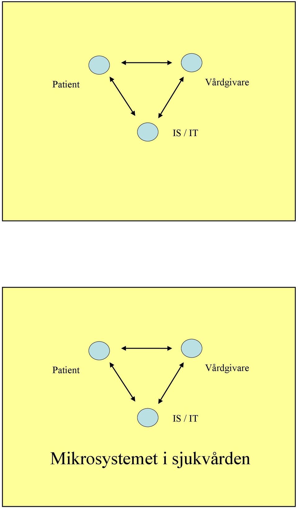 Mikrosystemet i