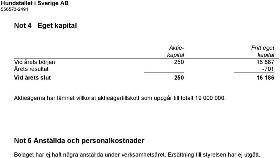 aktieägartillskott som uppgår till totalt 19 000 000.