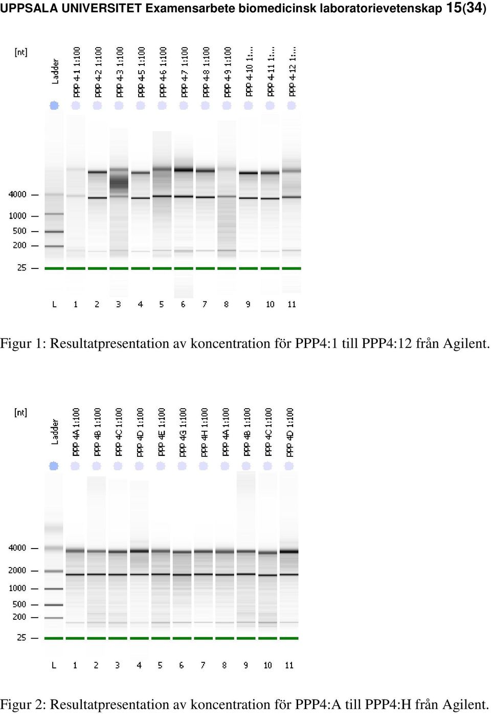 koncentration för PPP4:1 till PPP4:12 från Agilent.