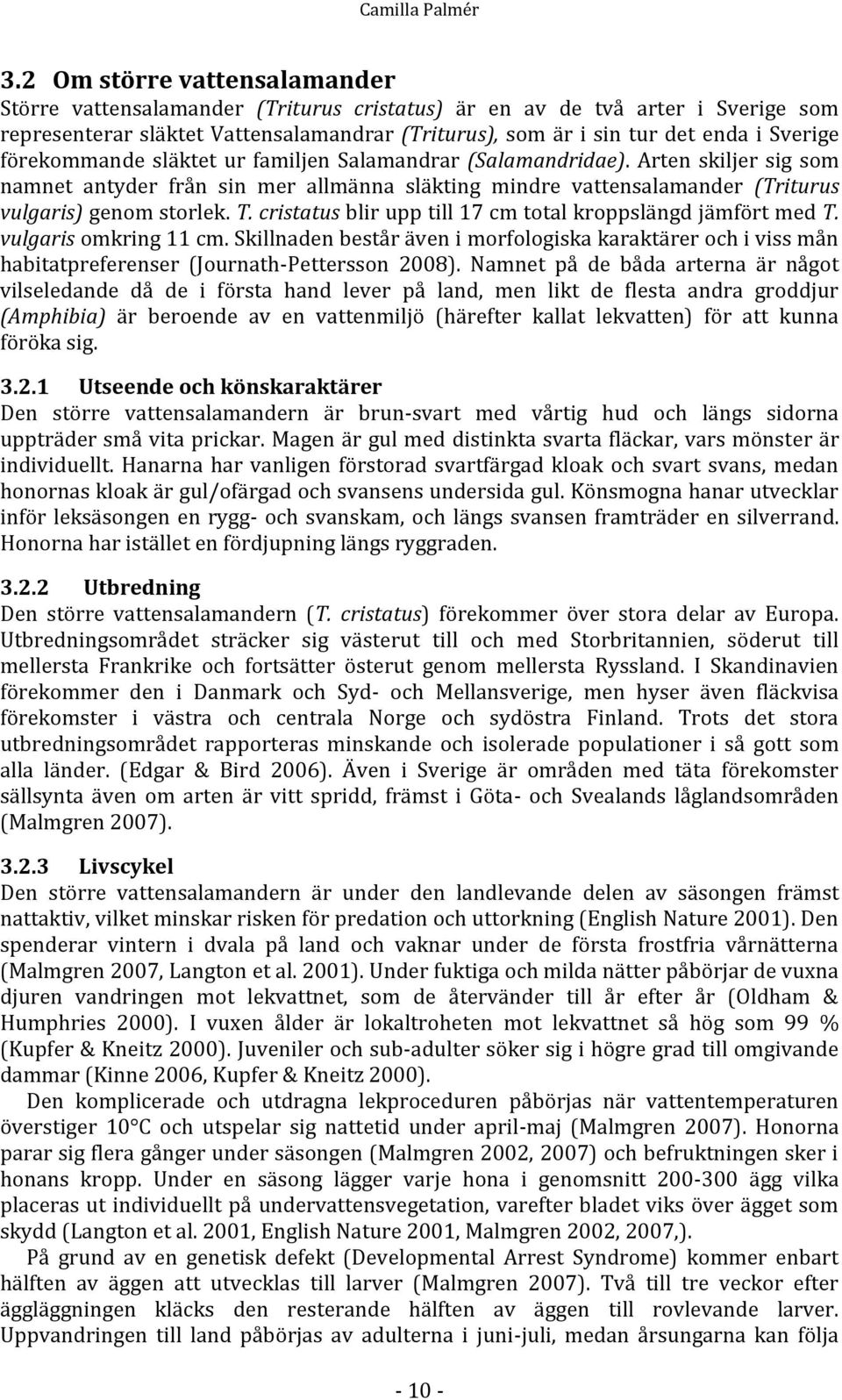 förekommande släktet ur familjen Salamandrar (Salamandridae). Arten skiljer sig som namnet antyder från sin mer allmänna släkting mindre vattensalamander (Triturus vulgaris) genom storlek. T.