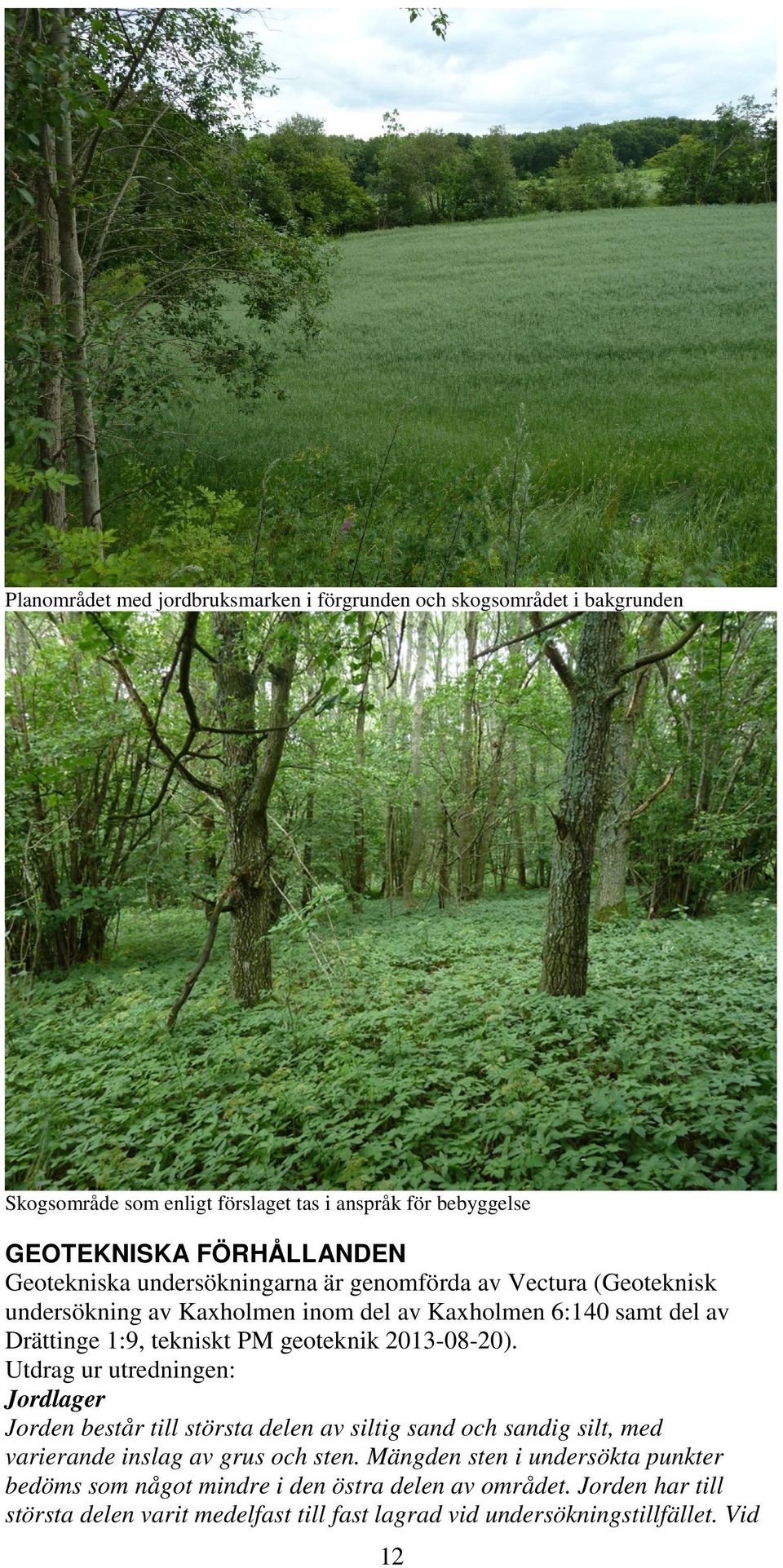geoteknik 2013-08-20). Utdrag ur utredningen: Jordlager Jorden består till största delen av siltig sand och sandig silt, med varierande inslag av grus och sten.