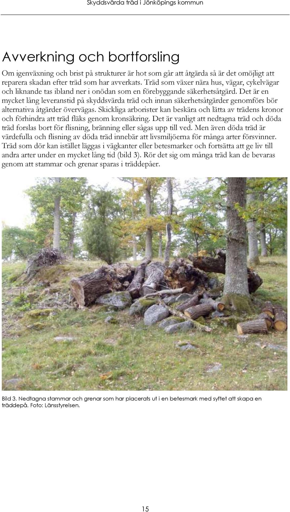 Det är en mycket lång leveranstid på skyddsvärda träd och innan säkerhetsåtgärder genomförs bör alternativa åtgärder övervägas.